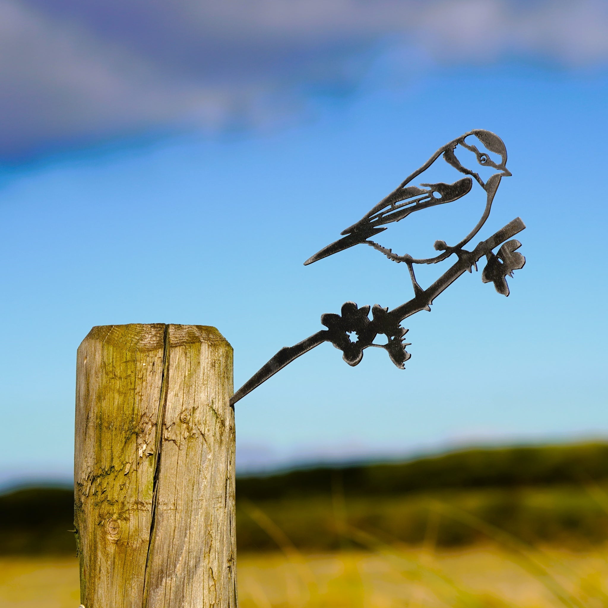 Cortenstalen tuindecoraties: tijdloos en uniek met Metalbirds