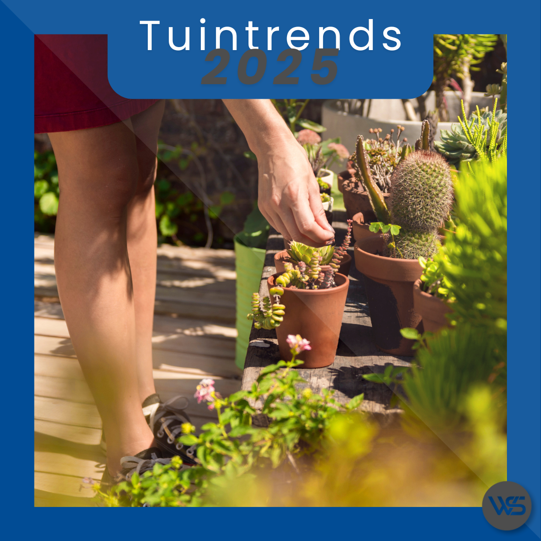 🌿 Tuintrends 2025: natuur, eenvoud en duurzame materialen