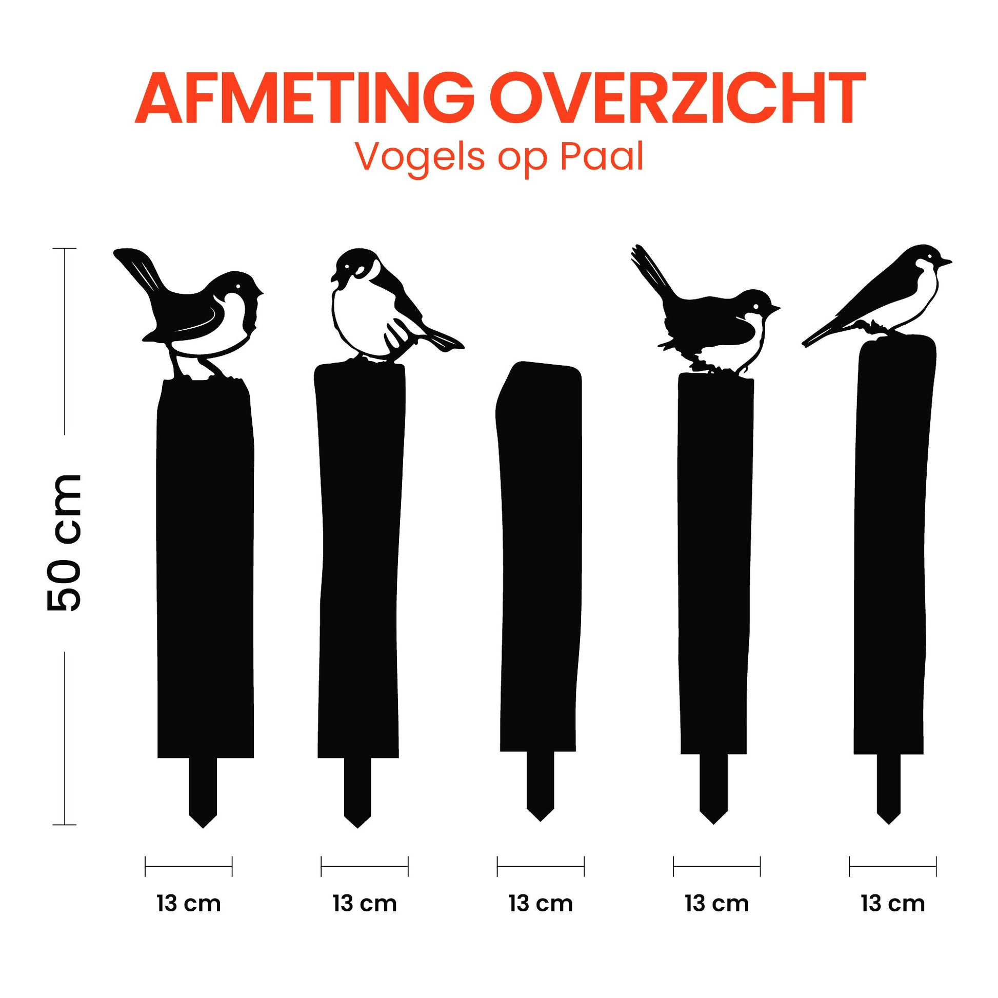 afmetingen cortenstaal tuindecoratie vogels 50 cm hoogte 13 cm breedte vogel 5 delige set tuinstekers Weterings Store