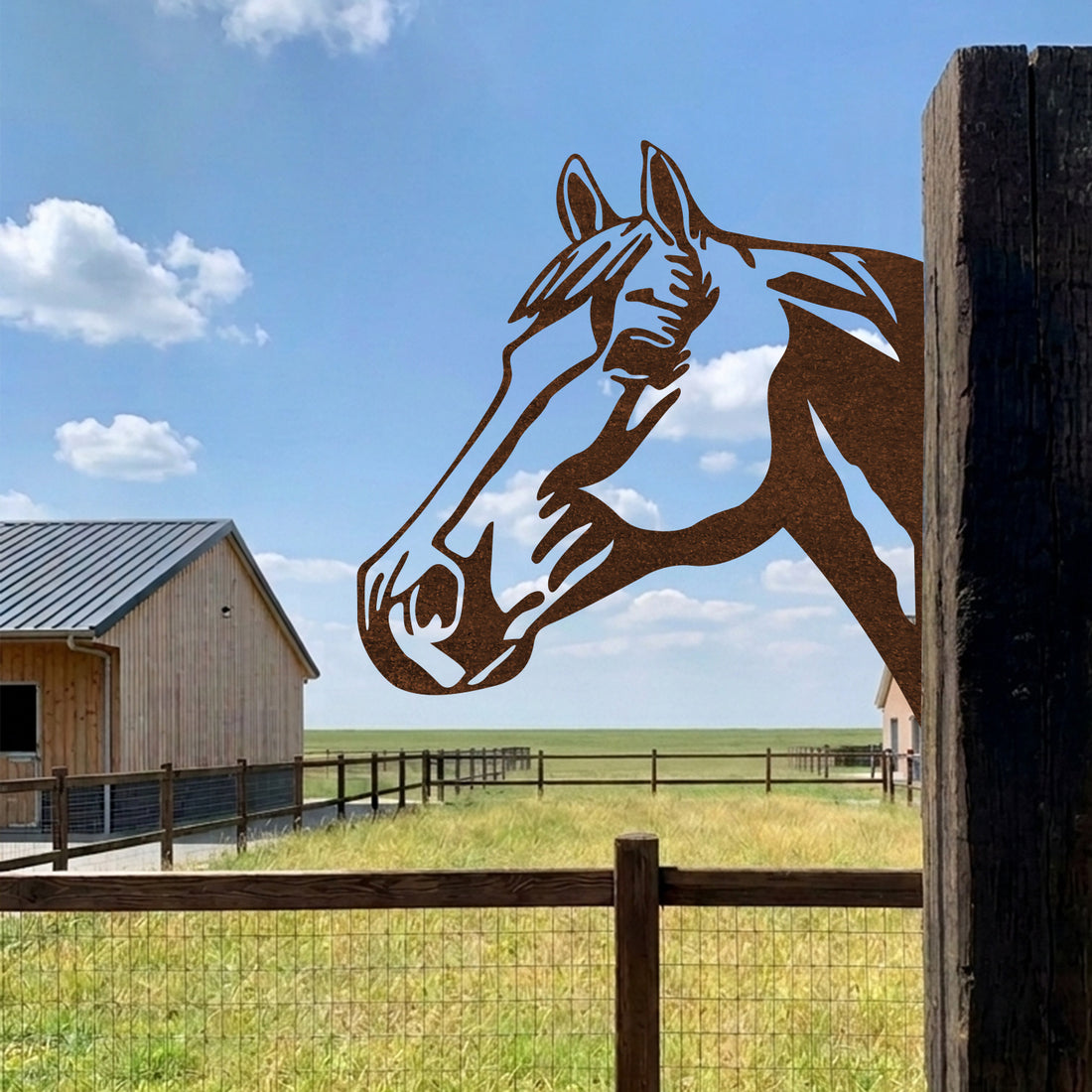 Metalen Paardenhoofd Wanddecoratie van 3 mm Cortenstaal – Landelijke Tuin- en Schuttingdecoratie