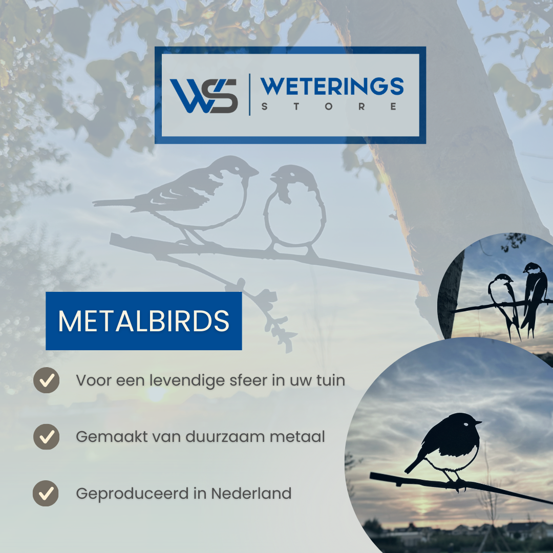 Diverse Metalen Vogels voor Buiten – Duurzame & Weerbestendige Tuindecoratie
