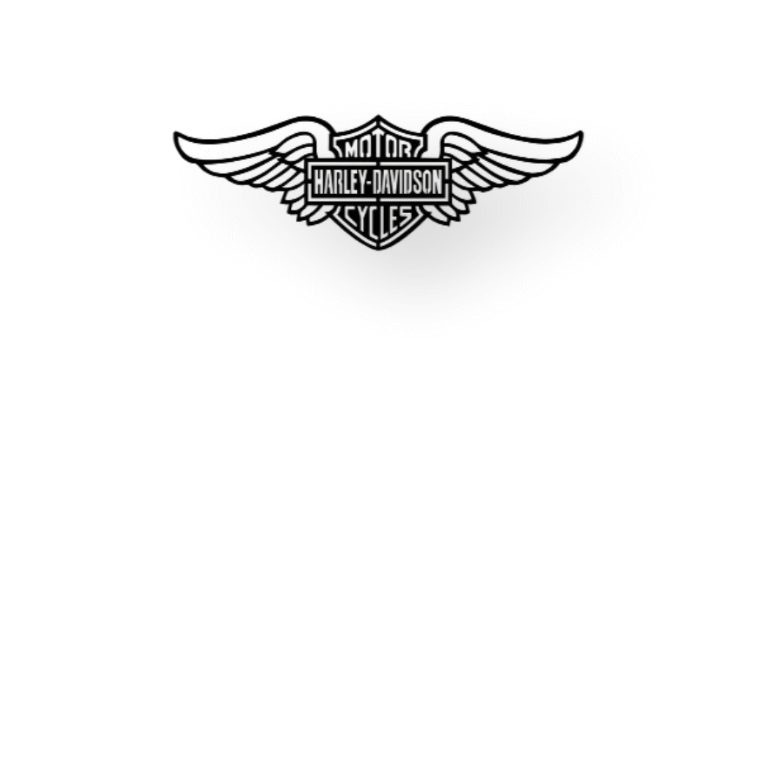 Wanddecoratie industrieel - Harley Davidson - Mancave - Metaal - Harley Davidson Wing wandbord - 100x28cm