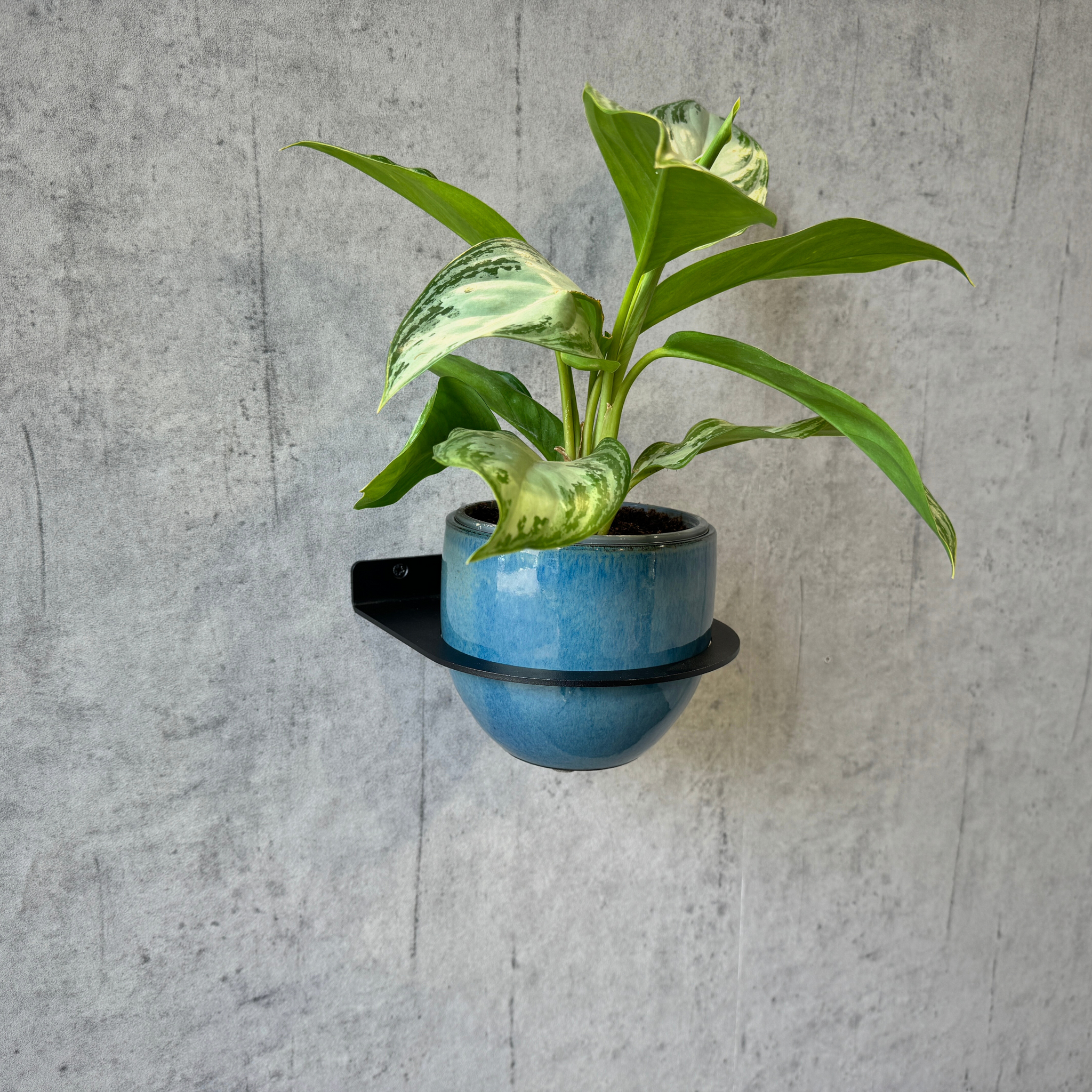 Plantendrager muur enkel | Ø150mm | Staal gepoedercoat