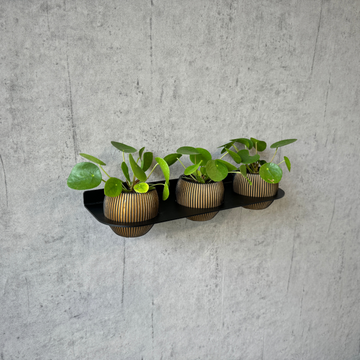 Plant support wall triple | Ø100mm | Powder coated steel