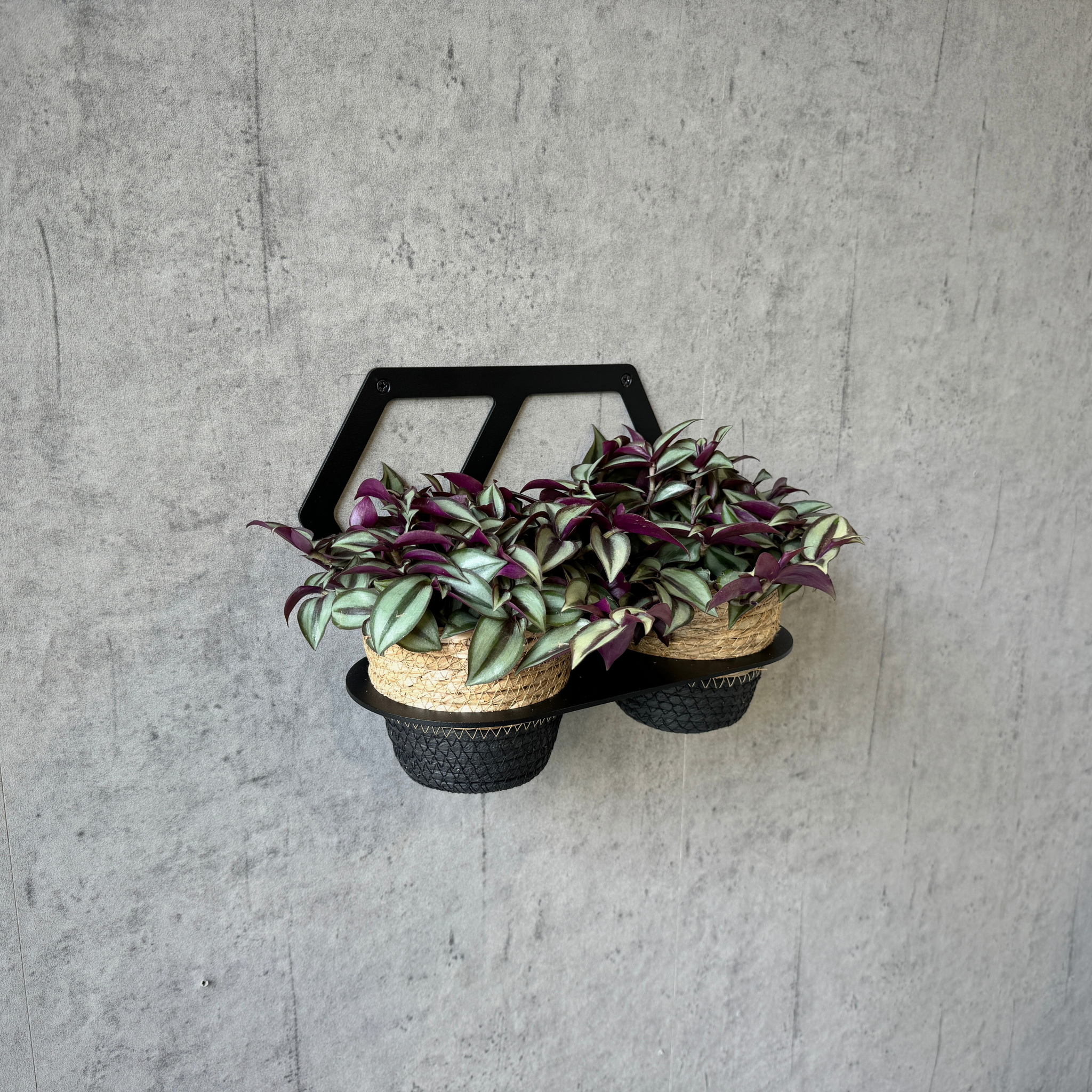 Plant support wall hexagonal double | Ø125mm | Steel powder coated