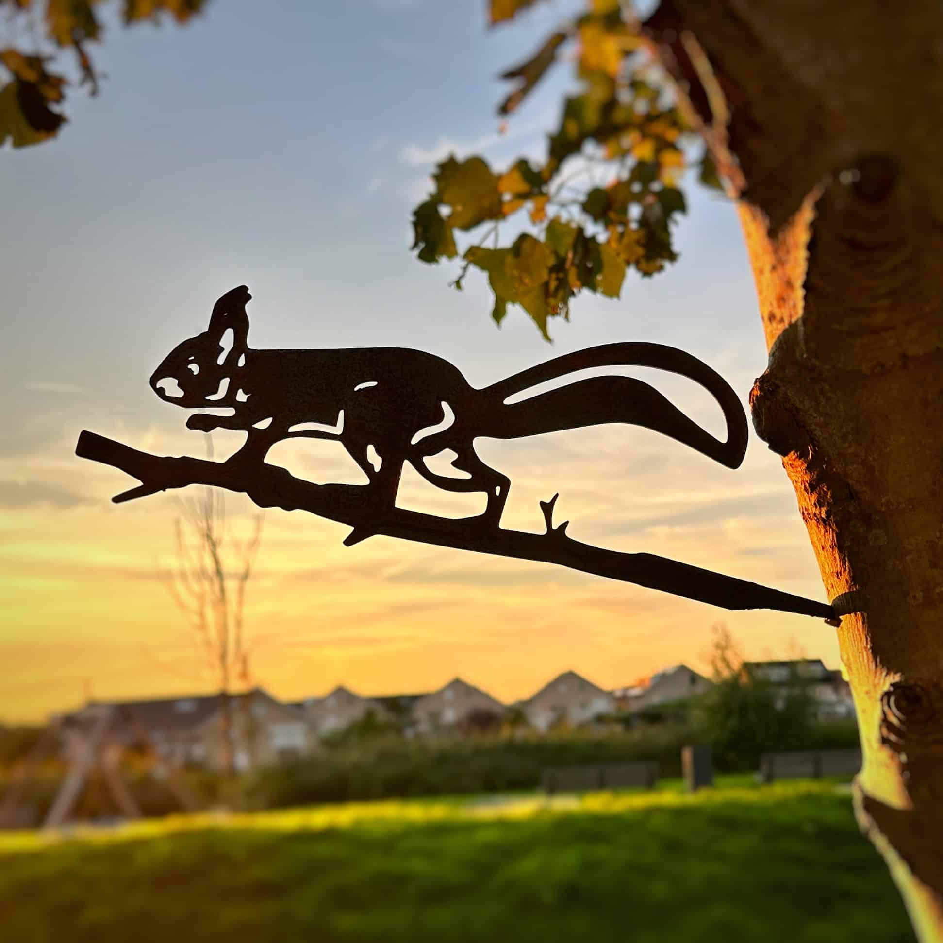 Garden decoration - Corten steel - Metalbird - Weterings ® - Tree decoration - Squirrel - 34x13cm